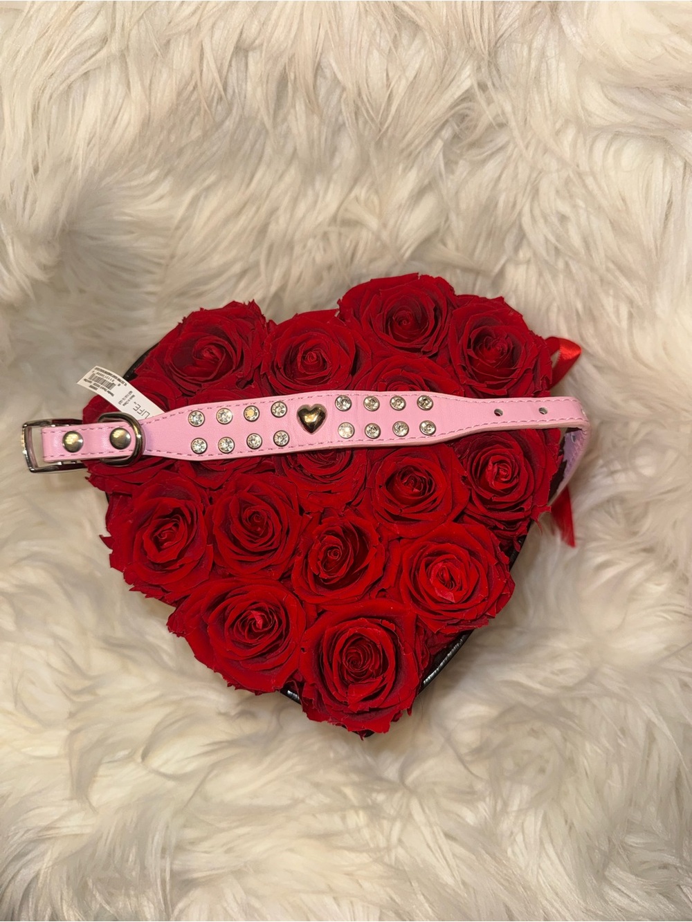 Vibrant Life XS Pink Rhinestone Heart Dog Collar NWT Adjustable Bling Puppy